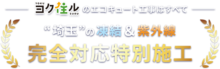 「埼玉」の凍結＆紫外線 完全対応特別施工